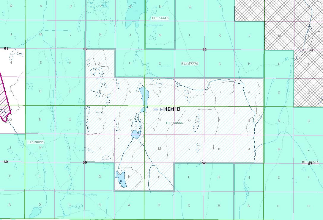 XRF indicator targets at Little Snare Lake.